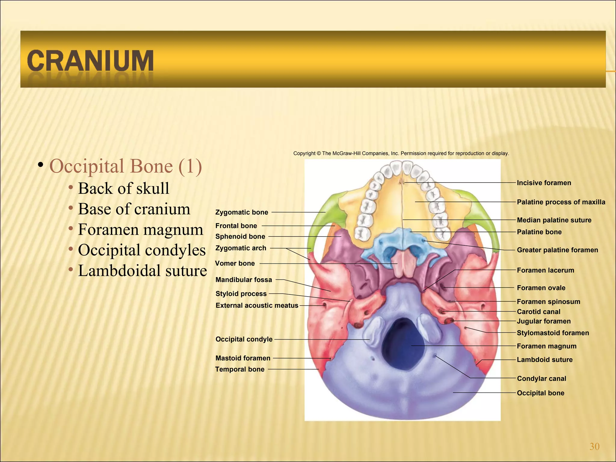 Chapt07 Holes Lecture Animation[1] | PPT