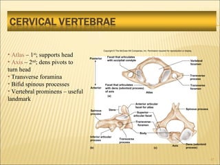 Chapt07 Holes Lecture Animation[1] | PPT