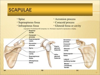 Chapt07 Holes Lecture Animation[1] | PPT