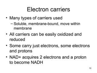 Electron carriers
• Many types of carriers used
– Soluble, membrane-bound, move within
membrane
• All carriers can be easily oxidized and
reduced
• Some carry just electrons, some electrons
and protons
• NAD+ acquires 2 electrons and a proton
to become NADH
10
 
