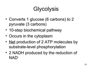16
Glycolysis
• Converts 1 glucose (6 carbons) to 2
pyruvate (3 carbons)
• 10-step biochemical pathway
• Occurs in the cytoplasm
• Net production of 2 ATP molecules by
substrate-level phosphorylation
• 2 NADH produced by the reduction of
NAD+
 