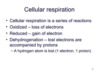 3
Cellular respiration
• Cellular respiration is a series of reactions
• Oxidized – loss of electrons
• Reduced – gain of electron
• Dehydrogenation – lost electrons are
accompanied by protons
– A hydrogen atom is lost (1 electron, 1 proton)
 