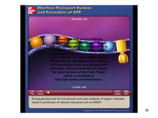 36
Please note that due to differing
operating systems, some animations
will not appear until the presentation is
viewed in Presentation Mode (Slide
Show view). You may see blank slides
in the “Normal” or “Slide Sorter” views.
All animations will appear after viewing
in Presentation Mode and playing each
animation. Most animations will require
the latest version of the Flash Player,
which is available at
http://get.adobe.com/flashplayer.
 
