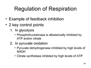 39
Regulation of Respiration
• Example of feedback inhibition
• 2 key control points
1. In glycolysis
• Phosphofructokinase is allosterically inhibited by
ATP and/or citrate
2. In pyruvate oxidation
• Pyruvate dehydrogenase inhibited by high levels of
NADH
• Citrate synthetase inhibited by high levels of ATP
 