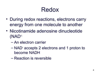 4
Redox
• During redox reactions, electrons carry
energy from one molecule to another
• Nicotinamide adenosine dinucleotide
(NAD+)
– An electron carrier
– NAD+
accepts 2 electrons and 1 proton to
become NADH
– Reaction is reversible
 