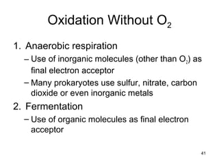 41
Oxidation Without O2
1. Anaerobic respiration
– Use of inorganic molecules (other than O2) as
final electron acceptor
– Many prokaryotes use sulfur, nitrate, carbon
dioxide or even inorganic metals
2. Fermentation
– Use of organic molecules as final electron
acceptor
 