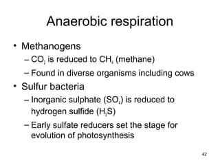 42
Anaerobic respiration
• Methanogens
– CO2 is reduced to CH4 (methane)
– Found in diverse organisms including cows
• Sulfur bacteria
– Inorganic sulphate (SO4) is reduced to
hydrogen sulfide (H2S)
– Early sulfate reducers set the stage for
evolution of photosynthesis
 