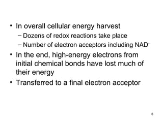• In overall cellular energy harvest
– Dozens of redox reactions take place
– Number of electron acceptors including NAD+
• In the end, high-energy electrons from
initial chemical bonds have lost much of
their energy
• Transferred to a final electron acceptor
6
 