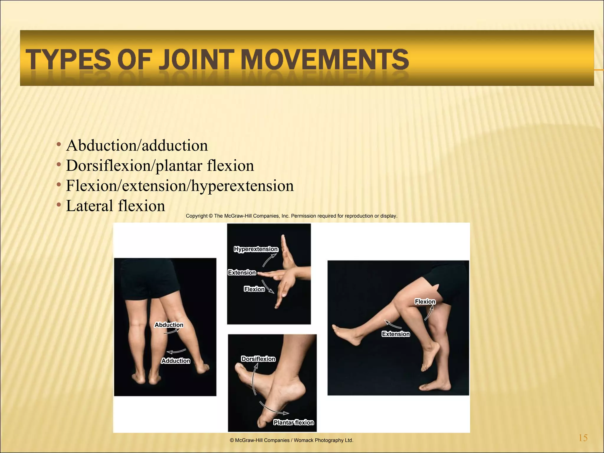 Abduction/adduction Dorsiflexion/plantar flexion Flexion/extension/hyperextension Lateral flexion Copyright © The McGraw-Hill Companies, Inc. Permission required for reproduction or display. Abduction Adduction Extension Flexion Dorsiflexion Plantar flexion Extension Flexion Hyperextension © McGraw-Hill Companies / Womack Photography Ltd. 
