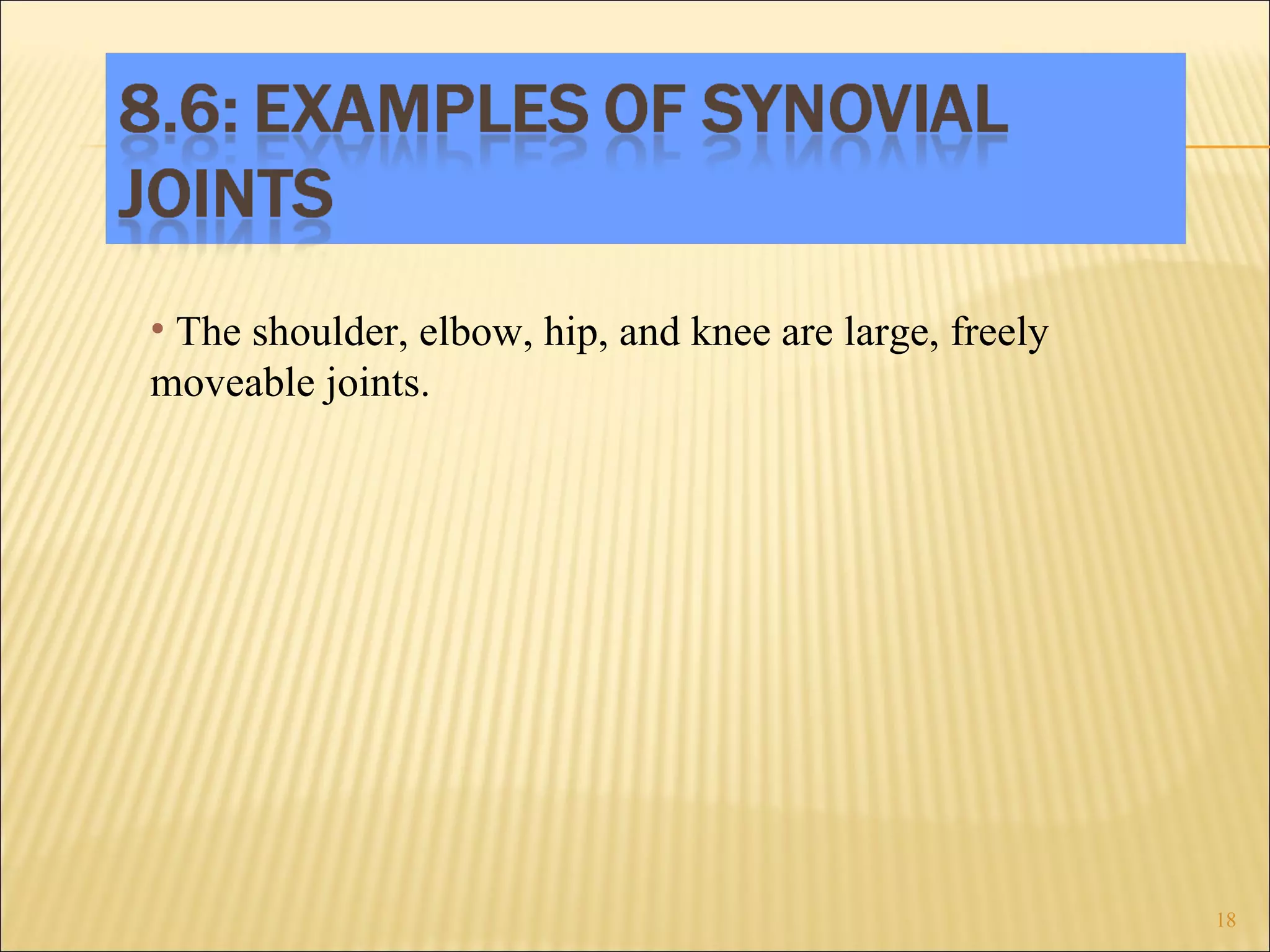 The shoulder, elbow, hip, and knee are large, freely moveable joints. 