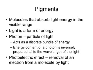 11
Pigments
• Molecules that absorb light energy in the
visible range
• Light is a form of energy
• Photon – particle of light
– Acts as a discrete bundle of energy
– Energy content of a photon is inversely
proportional to the wavelength of the light
• Photoelectric effect – removal of an
electron from a molecule by light
 