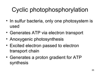 26
• In sulfur bacteria, only one photosystem is
used
• Generates ATP via electron transport
• Anoxygenic photosynthesis
• Excited electron passed to electron
transport chain
• Generates a proton gradient for ATP
synthesis
Cyclic photophosphorylation
 