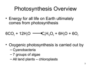 3
Photosynthesis Overview
• Energy for all life on Earth ultimately
comes from photosynthesis
6CO2 + 12H2O C6H12O6 + 6H2O + 6O2
• Oxygenic photosynthesis is carried out by
– Cyanobacteria
– 7 groups of algae
– All land plants – chloroplasts
 