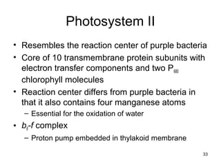 33
Photosystem II
• Resembles the reaction center of purple bacteria
• Core of 10 transmembrane protein subunits with
electron transfer components and two P680
chlorophyll molecules
• Reaction center differs from purple bacteria in
that it also contains four manganese atoms
– Essential for the oxidation of water
• b6-f complex
– Proton pump embedded in thylakoid membrane
 