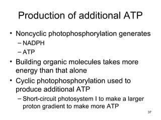 Production of additional ATP
• Noncyclic photophosphorylation generates
– NADPH
– ATP
• Building organic molecules takes more
energy than that alone
• Cyclic photophosphorylation used to
produce additional ATP
– Short-circuit photosystem I to make a larger
proton gradient to make more ATP
37
 