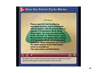 42
Please note that due to differing
operating systems, some animations
will not appear until the presentation is
viewed in Presentation Mode (Slide
Show view). You may see blank slides
in the “Normal” or “Slide Sorter” views.
All animations will appear after viewing
in Presentation Mode and playing each
animation. Most animations will require
the latest version of the Flash Player,
which is available at
http://get.adobe.com/flashplayer.
 
