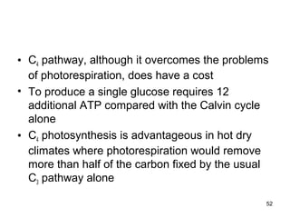 • C4 pathway, although it overcomes the problems
of photorespiration, does have a cost
• To produce a single glucose requires 12
additional ATP compared with the Calvin cycle
alone
• C4 photosynthesis is advantageous in hot dry
climates where photorespiration would remove
more than half of the carbon fixed by the usual
C3 pathway alone
52
 