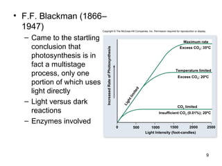 • F.F. Blackman (1866–
1947)
– Came to the startling
conclusion that
photosynthesis is in
fact a multistage
process, only one
portion of which uses
light directly
– Light versus dark
reactions
– Enzymes involved
9
Maximum rate
Temperature limited
Excess CO2; 20ºC
CO2 limited
Light Intensity (foot-candles)
500 1000 1500 2000 2500
IncreasedRateofPhotosynthesis
0
Excess CO2; 35ºC
Insufficient CO2 (0.01%); 20ºC
Lightlim
ited
Copyright © The McGraw-Hill Companies, Inc. Permission required for reproduction or display.
 