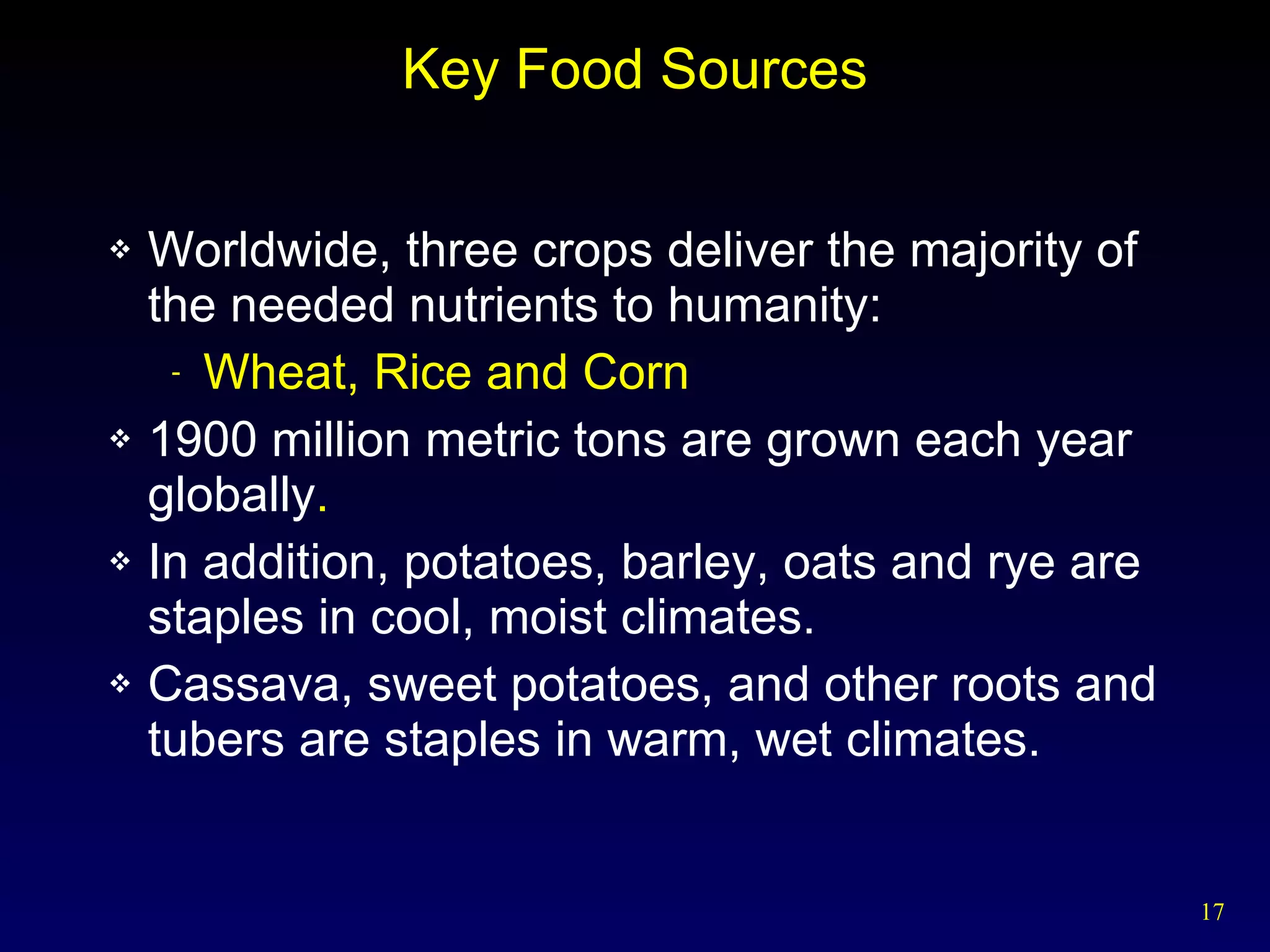 Key Food Sources Worldwide, three crops deliver the majority of  the needed nutrients to humanity:  Wheat, Rice and Corn 1900 million metric tons are grown each year globally . In addition, potatoes, barley, oats and rye are staples in cool, moist climates. Cassava, sweet potatoes, and other roots and tubers are staples in warm, wet climates. 