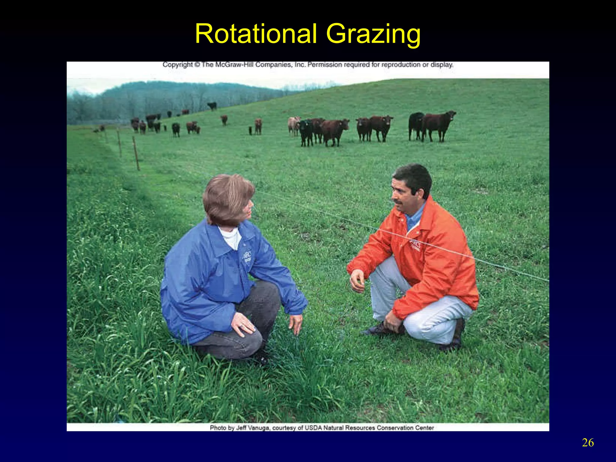 Rotational Grazing 