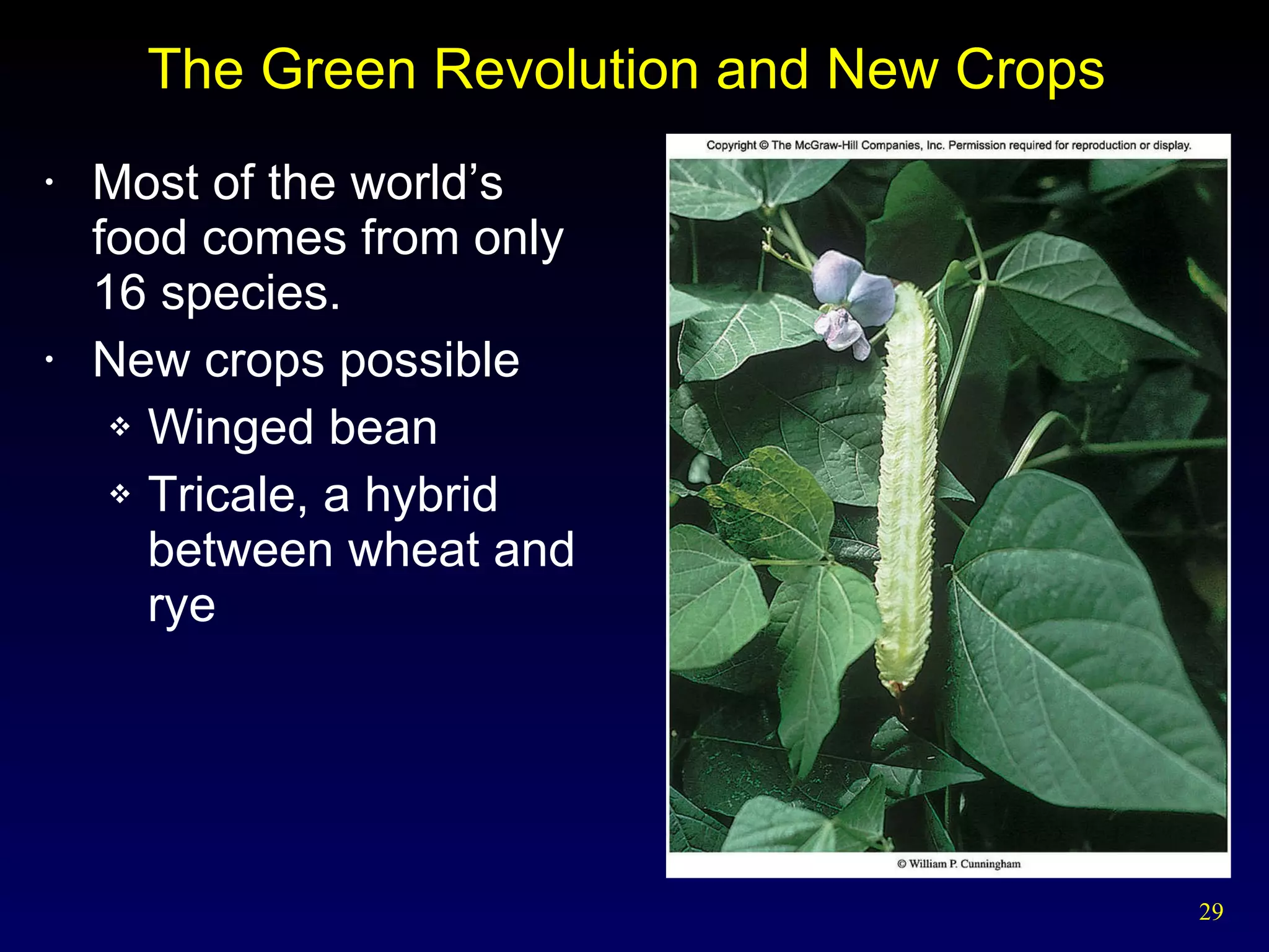The Green Revolution and New Crops  Most of the world’s food comes from only 16 species. New crops possible Winged bean Tricale, a hybrid between wheat and rye 