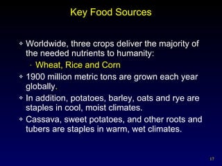 Key Food Sources Worldwide, three crops deliver the majority of  the needed nutrients to humanity:  Wheat, Rice and Corn 1900 million metric tons are grown each year globally . In addition, potatoes, barley, oats and rye are staples in cool, moist climates. Cassava, sweet potatoes, and other roots and tubers are staples in warm, wet climates. 