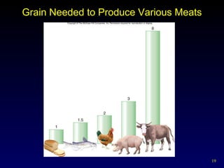 Grain Needed to Produce Various Meats 