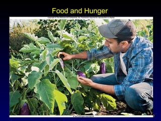 Food and Hunger 