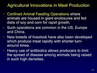 Agricultural Innovations in Meat Production Confined Animal Feeding Operations  where animals are housed in giant enclosures and fed diets of soy and corn for rapid growth. Such operations are common in the US, Europe and China. New breeds of livestock have also been developed which produce meat rapidly with shorter turn-around times. Heavy use of antibiotics allows producers to limit the spread of disease among animals being raised in such high densities. 
