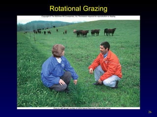 Rotational Grazing 