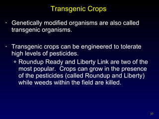 Transgenic Crops  Genetically modified organisms are also called transgenic organisms. Transgenic crops can be engineered to tolerate high levels of pesticides. Roundup Ready and Liberty Link are two of the most popular.  Crops can grow in the presence of the pesticides (called Roundup and Liberty) while weeds within the field are killed. 