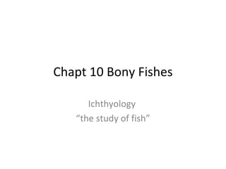 Chapt 10 Bony Fishes

      Ichthyology
   “the study of fish”
 