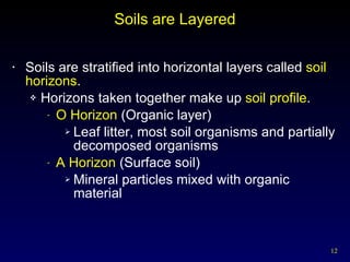 Soils are Layered Soils are stratified into horizontal layers called  soil horizons . Horizons taken together make up  soil profile . O Horizon  (Organic layer) Leaf litter, most soil organisms and partially decomposed organisms A Horizon  (Surface soil) Mineral particles mixed with organic material 