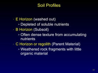 Soil Profiles E Horizon  (washed out) Depleted of soluble nutrients B Horizon  (Subsoil)  Often dense texture from accumulating nutrients C Horizon or regolith  (Parent Material) Weathered rock fragments with little organic material 