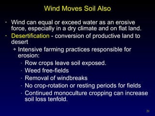 Wind Moves Soil Also Wind can equal or exceed water as an erosive force, especially in a dry climate and on flat land. Desertification  - conversion of productive land to desert Intensive farming practices responsible for erosion: Row crops leave soil exposed. Weed free-fields Removal of windbreaks No crop-rotation or resting periods for fields Continued monoculture cropping can increase soil loss tenfold. 
