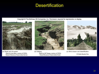 Desertification 