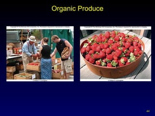 Organic Produce 