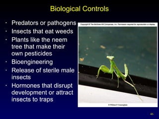 Biological Controls Predators or pathogens Insects that eat weeds Plants like the neem tree that make their own pesticides Bioengineering Release of sterile male insects Hormones that disrupt development or attract insects to traps 