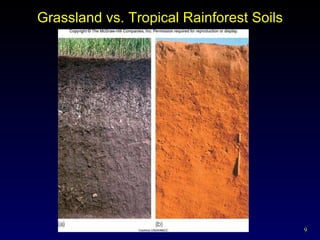 Grassland vs. Tropical Rainforest Soils 