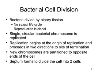 3
Bacterial Cell Division
• Bacteria divide by binary fission
– No sexual life cycle
– Reproduction is clonal
• Single, circular bacterial chromosome is
replicated
• Replication begins at the origin of replication and
proceeds in two directions to site of termination
• New chromosomes are partitioned to opposite
ends of the cell
• Septum forms to divide the cell into 2 cells
 