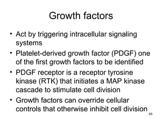 Growth factors
• Act by triggering intracellular signaling
systems
• Platelet-derived growth factor (PDGF) one
of the first growth factors to be identified
• PDGF receptor is a receptor tyrosine
kinase (RTK) that initiates a MAP kinase
cascade to stimulate cell division
• Growth factors can override cellular
controls that otherwise inhibit cell division
49
 