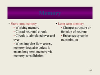 Chapt11 Holes Lecture[1] | PPT