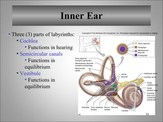 Chapt12 Holes Lecture Animation[1] | PPT