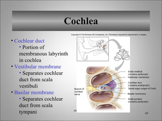 Chapt12 Holes Lecture Animation[1] | PPT