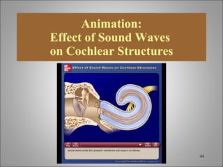 Chapt12 Holes Lecture Animation[1] | PPT