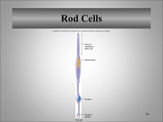 Chapt12 Holes Lecture Animation[1] | PPT