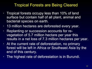 Tropical Forests are Being Cleared Tropical forests occupy less than 10% of land surface but contain half of all plant, animal and bacterial species on earth. 13 million hectares are deforested every year. Replanting or succession accounts for re-vegetation of 5.7 million hectare per year this results in a net loss of 7.3 million hectares per year. At the current rate of deforestation, no primary forest will be left in Africa or Southeast Asia by the end of this century. The highest rate of deforestation is in Burundi. 