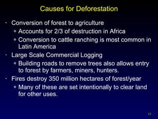 Causes for Deforestation Conversion of forest to agriculture Accounts for 2/3 of destruction in Africa Conversion to cattle ranching is most common in Latin America Large Scale Commercial Logging Building roads to remove trees also allows entry to forest by farmers, miners, hunters. Fires destroy 350 million hectares of forest/year Many of these are set intentionally to clear land for other uses. 