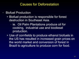 Causes for Deforestation Biofuel Production  Biofuel production is responsible for forest destruction in Southeast Asia. ie.  Oil Palm Plantations produce oil for cooking,  industrial use and biodiesel production. Use of cornfields to produce ethanol biofuels in the US has resulted in increased grain prices on the world market and conversion of forest in Brazil to agriculture to produce corn for food. 