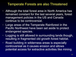 Temperate Forests are also Threatened  Although the total forest area in North America has remained constant for the last several years, forest management policies in the US and Canada continue to be controversial. Large areas of the Temperate Rainforest in the Pacific Northwest have been set aside to protect endangered species. Logging is still allowed in surrounding lands though, resulting in fragmented old growth forest habitat. Road building in wilderness areas is especially controversial as it causes erosion and allows potential access for extractive activities like mining. 